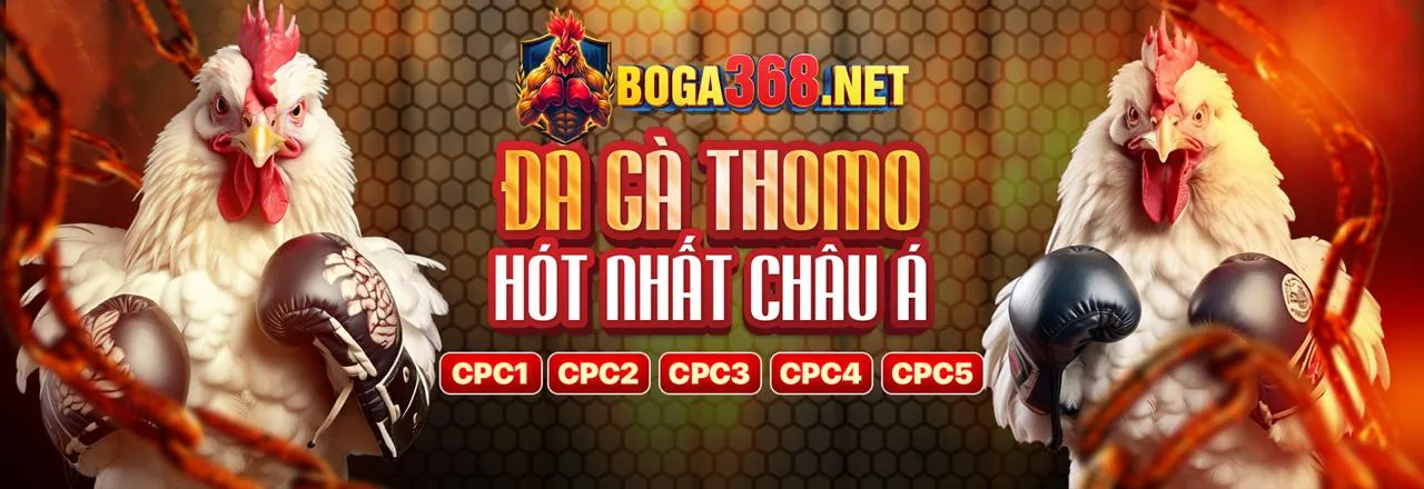 Tin tức bóng đá mới nhất